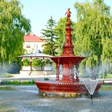Dr._Dénes_Rajmond_Nyár_Kaposvár_Berzsenyi park.JPG